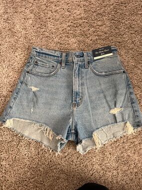 High-Rise Abercrombie Denim Mom Shorts-Curve Love